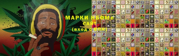 эйфоретик Инта