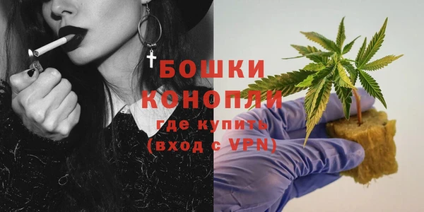 стаф Баксан