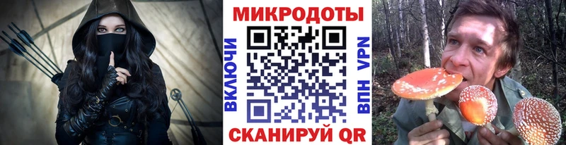 мега ссылки  Балей  Галлюциногенные грибы мухоморы  где купить наркотик 