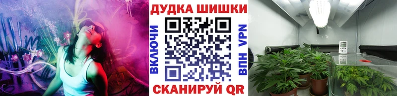 darknet клад  Балей  Марихуана конопля 